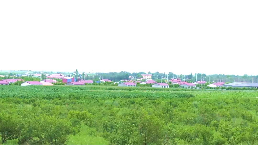 查布嘎图苏木远景