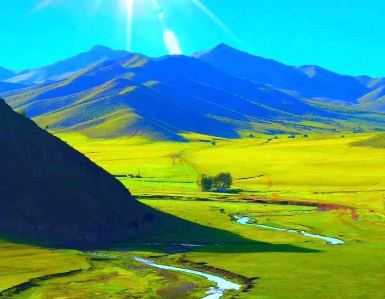 乌兰哈达苏木黄河图嘎查山地草原