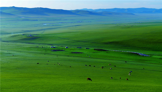 格日朝鲁原始草原 格日朝鲁原始草原