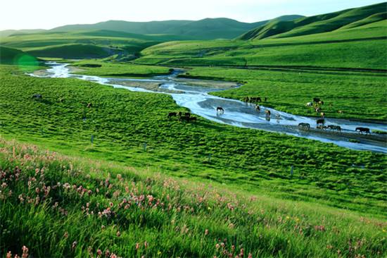 格日朝鲁原始草原 格日朝鲁原始草原