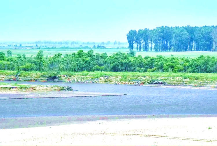 双胜镇东辽河畔 双胜镇东辽河畔