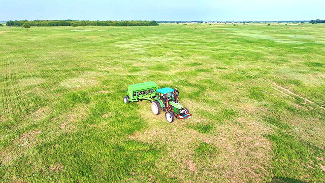 花胡硕苏木草原