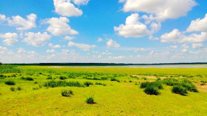 协代草原 协代草原