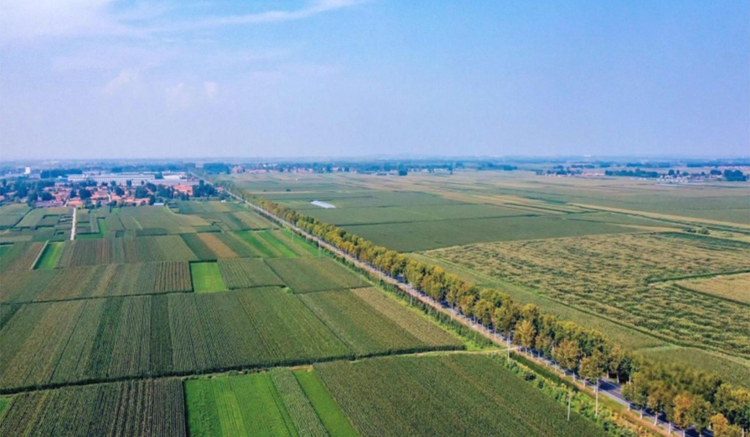 麦新镇西部田园风貌