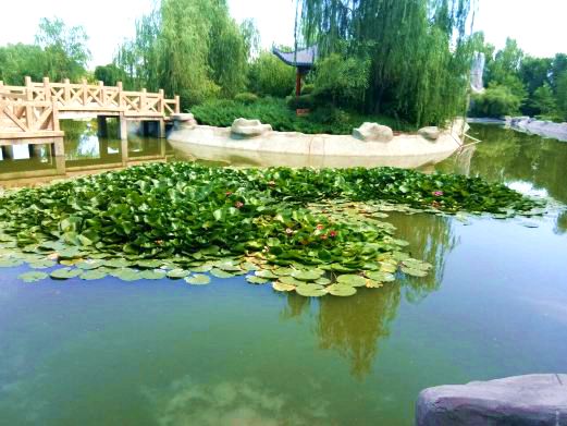 魁星阁景区