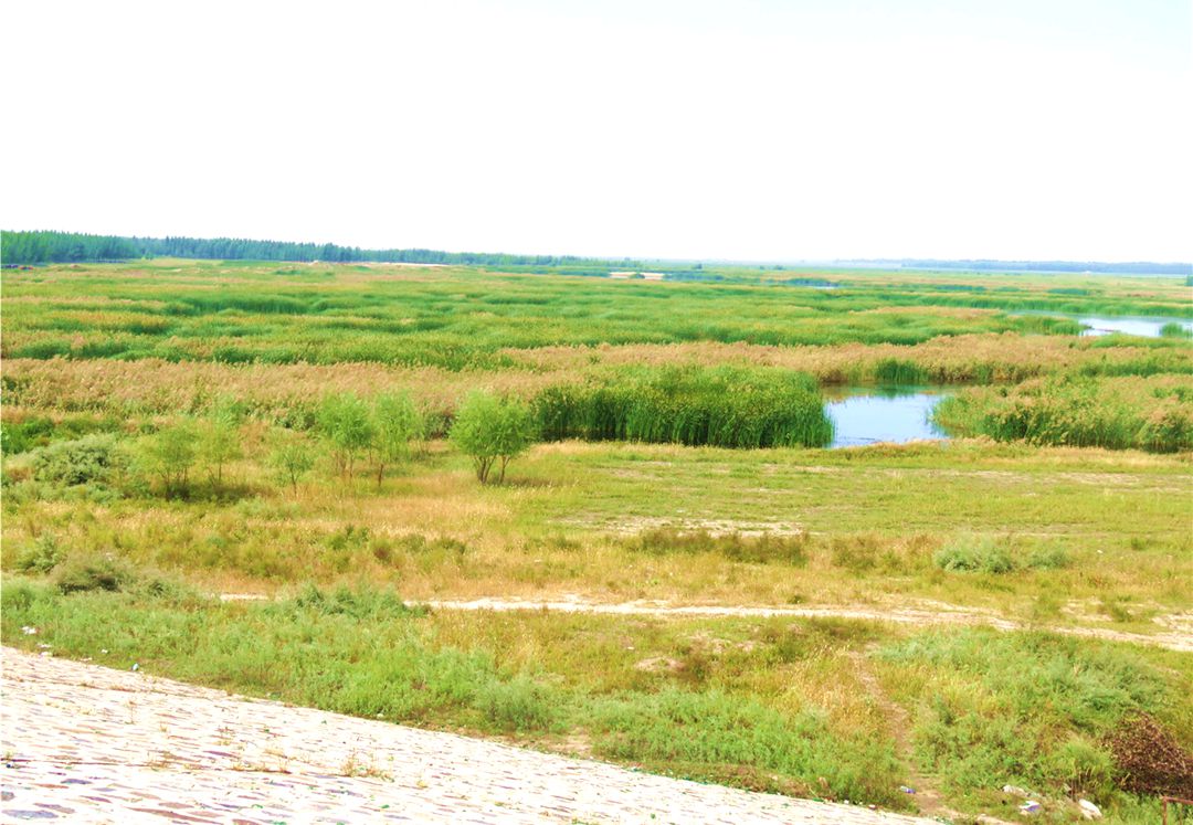 吐尔基山水库 吐尔基山水库