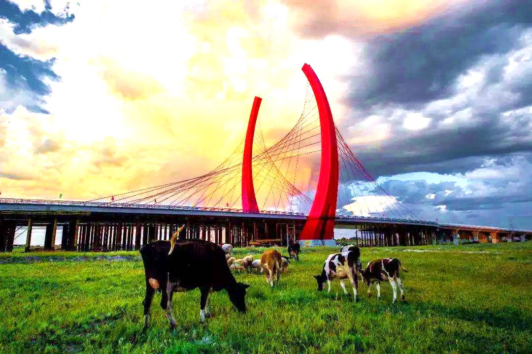 莫力庙苏木美景