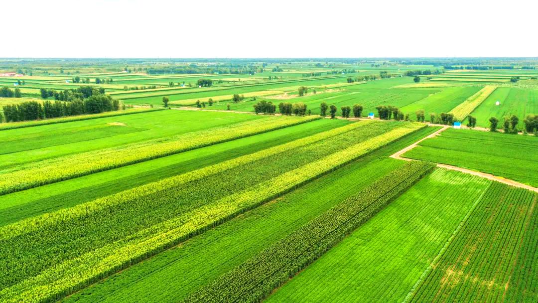 庆和镇美景 庆和镇美景