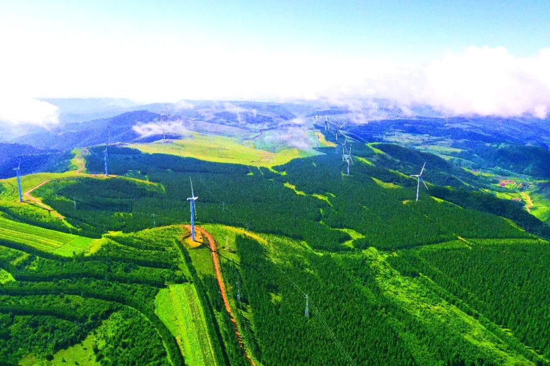 大夫营子乡涝泡子漫甸