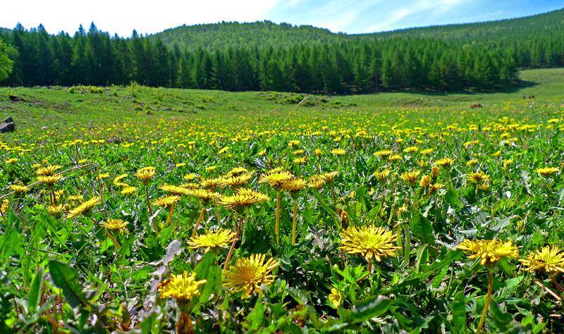 乌良苏旅游景区