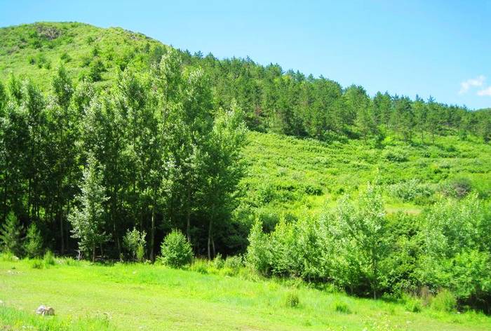 神仙沟生态旅游风景区原始次生林