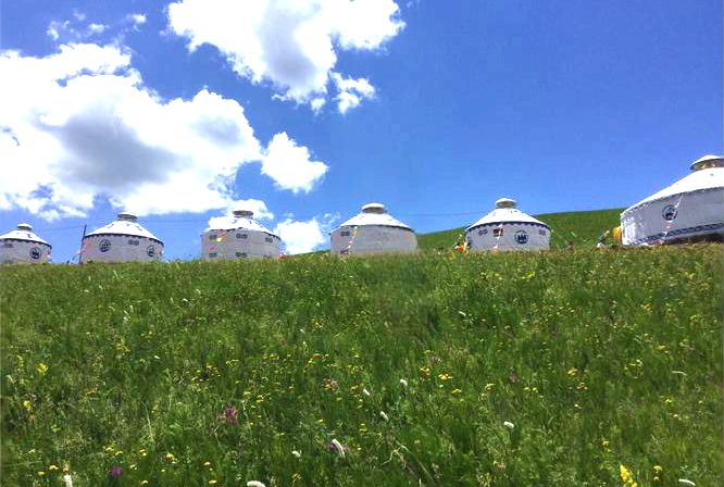 岗子乡漫甸草原 岗子乡漫甸草原