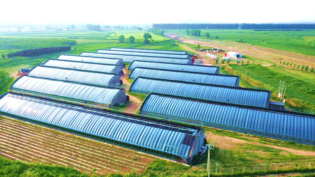 上官地镇仁禾农庄