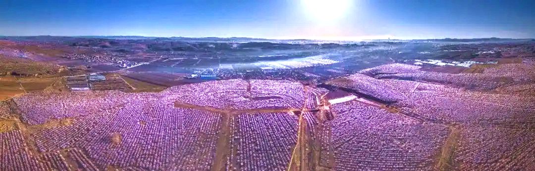 龙潭风景区万亩杏林