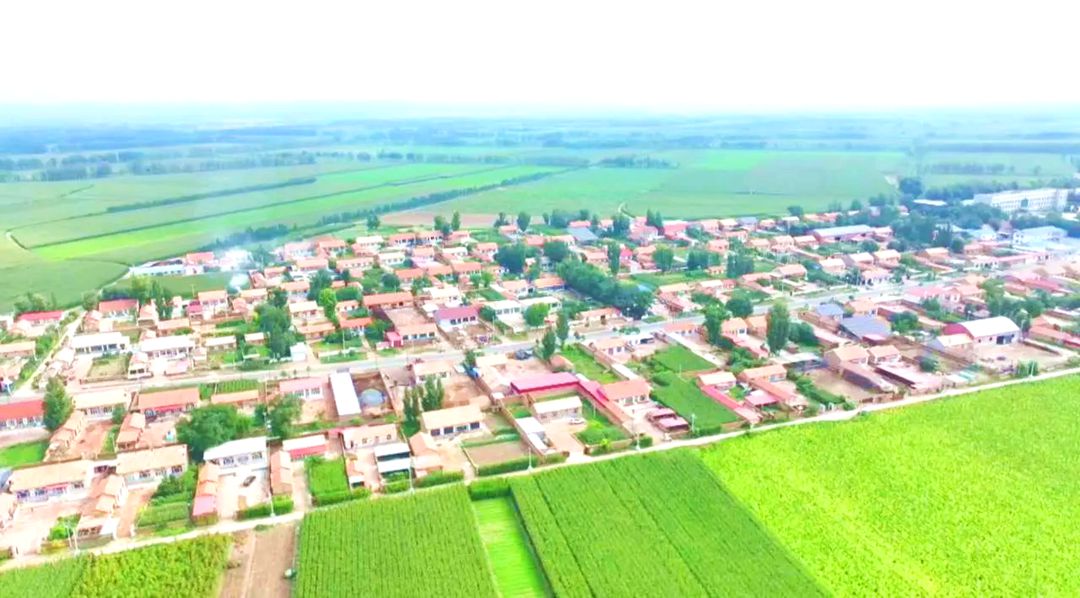 哈拉道口镇全景 哈拉道口镇全景