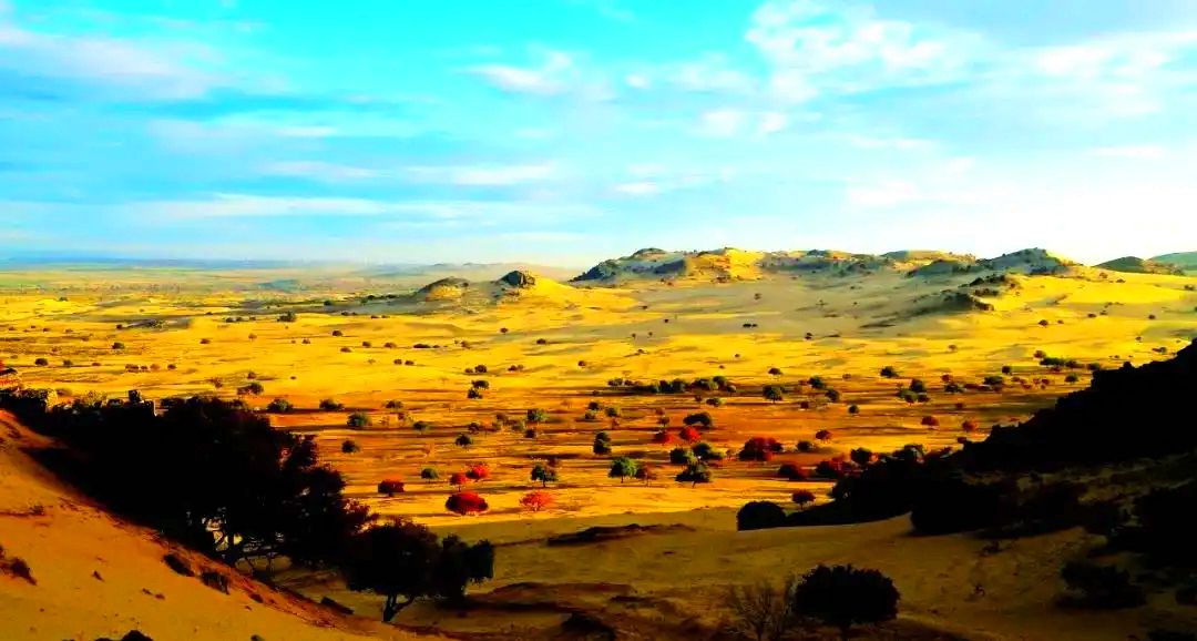 松树山自然保护区