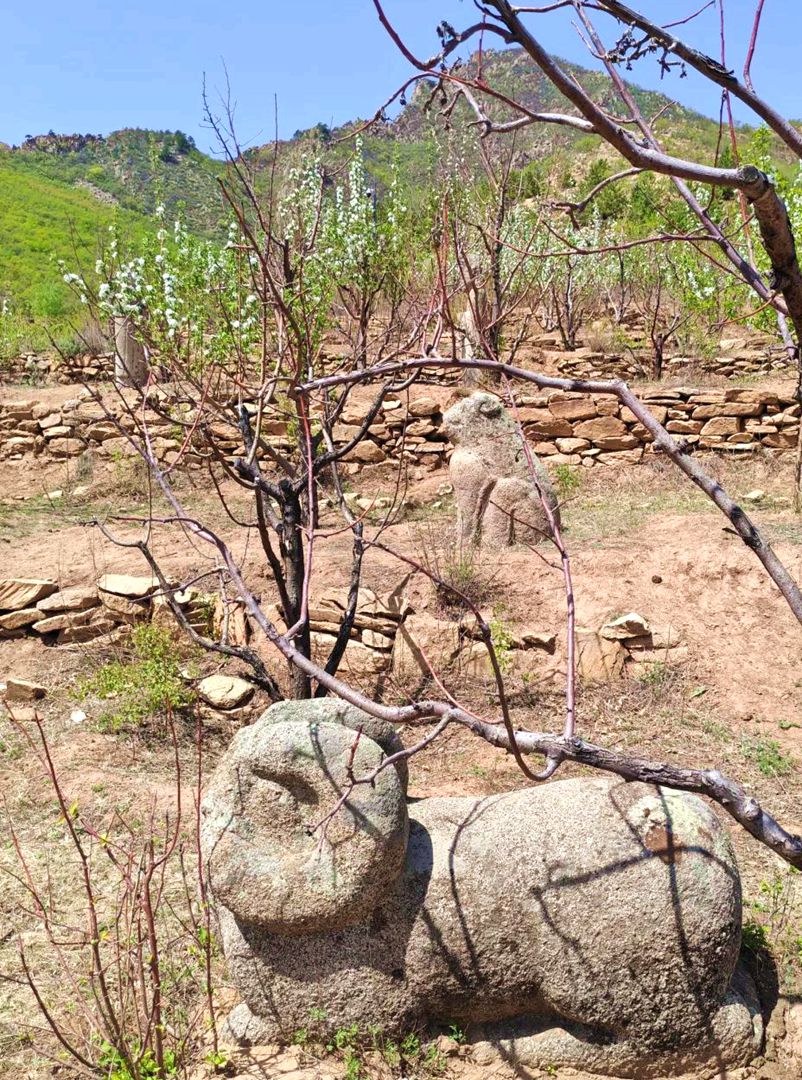 耶律琮墓 耶律琮墓