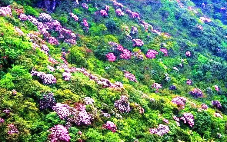 西沙布台自然保护区