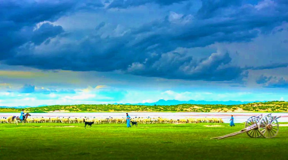 坤都湿地 坤都湿地