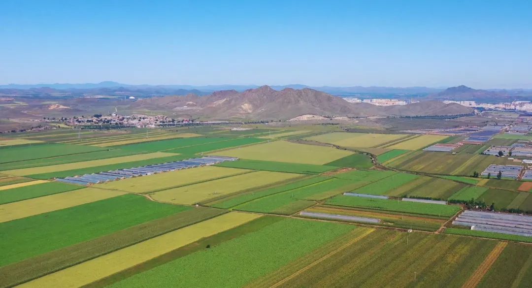 天山口镇全景 天山口镇全景