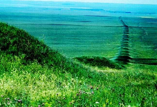 金界壕遗址 金界壕遗址