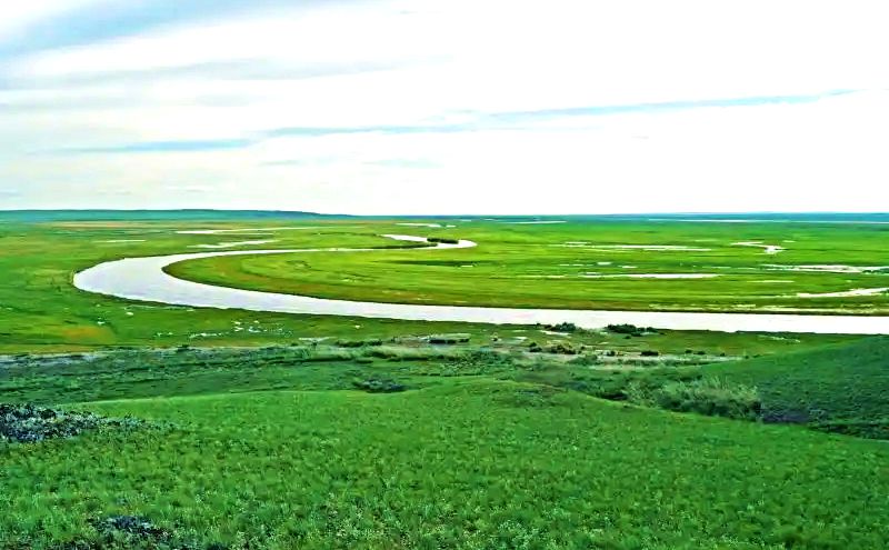 绿草如茵的克鲁伦河