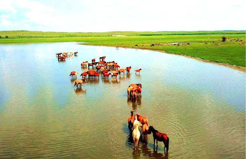 甘珠尔苏木美景