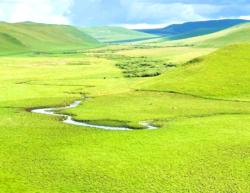 道乐都草原美景