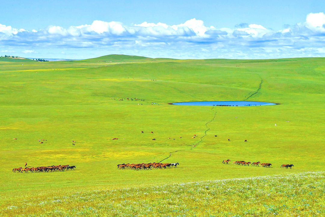 古日班赛罕夏营地 古日班赛罕夏营地