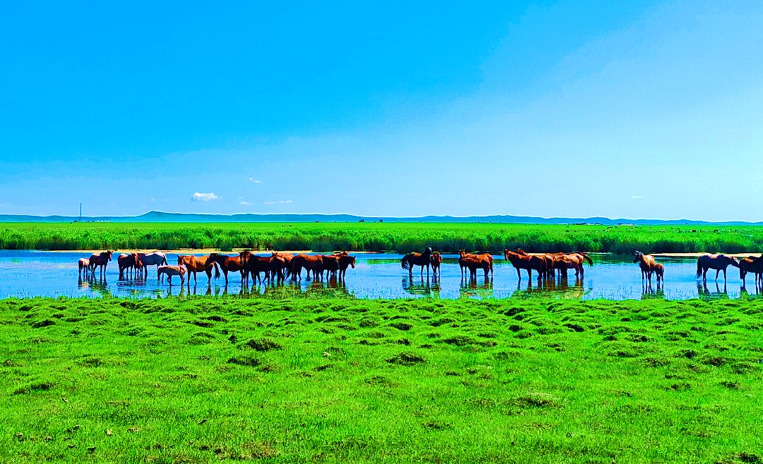 乌布尔宝力格苏木草原