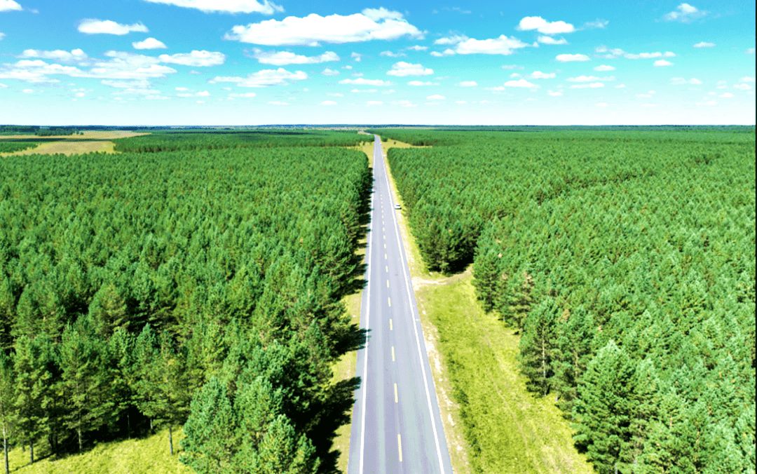 伊敏苏木202省道