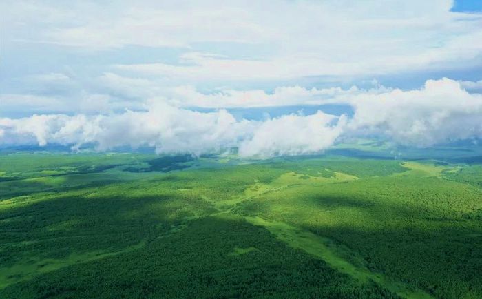 宝格达乌拉国家森林公园