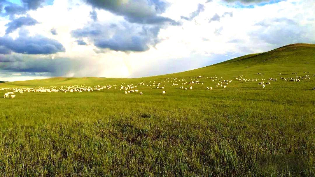 嘎海乐苏木草原（哈达图嘎查）