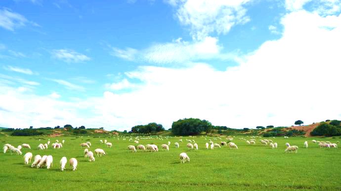 乌兰哈拉嘎苏木萨如拉图雅嘎查草原 乌兰哈拉嘎苏木萨如拉图雅嘎查草原