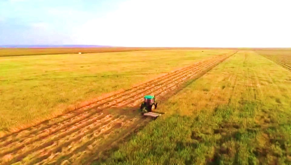 巴彦宝力格苏木草原 巴彦宝力格苏木草原