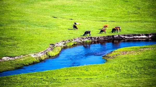 巴彦图嘎苏木脑木罕嘎查美景 巴彦图嘎苏木脑木罕嘎查美景