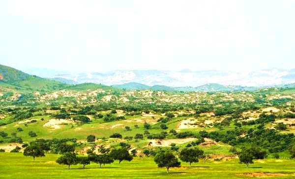 桑根达来镇浑善达克沙地