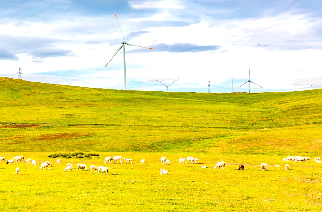 乌日根塔拉草原