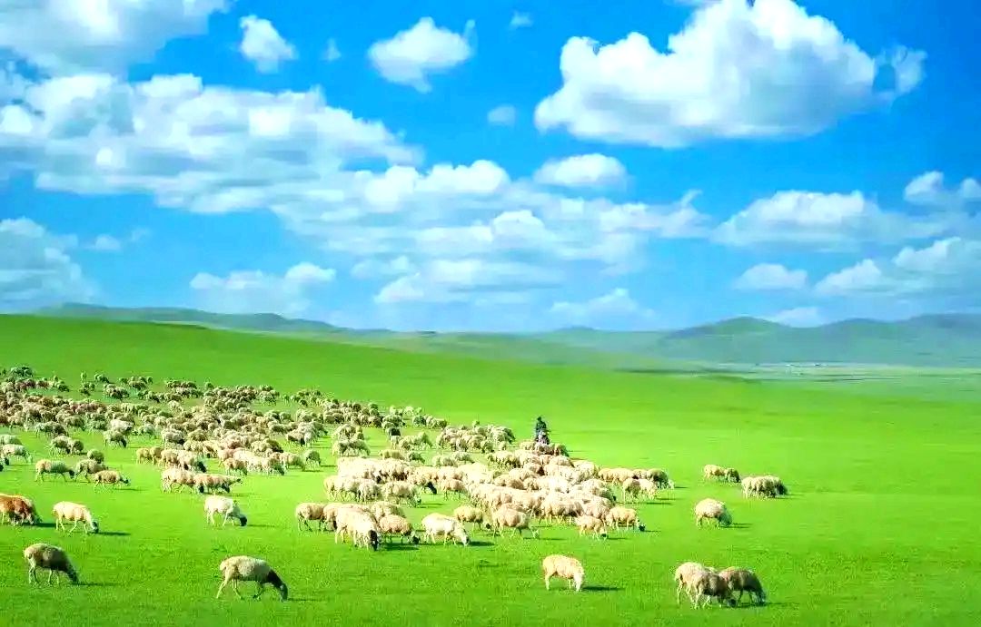 巴彦乌拉苏木草原