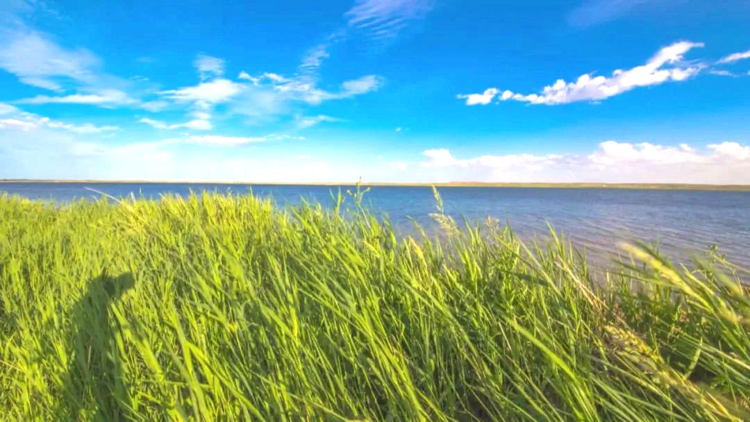 恩格尔河湿地