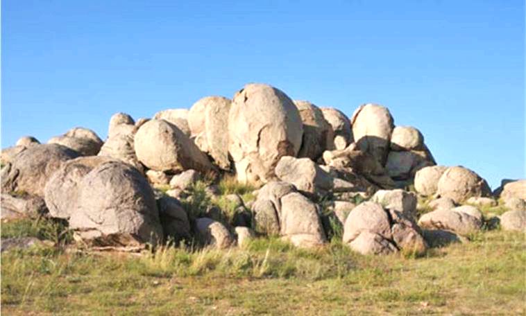 通古尔生物化石区