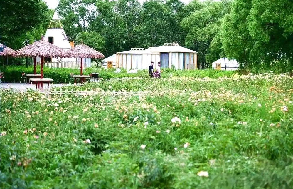 三大顷乡董家村