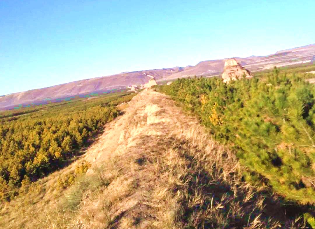 官屯堡乡明长城