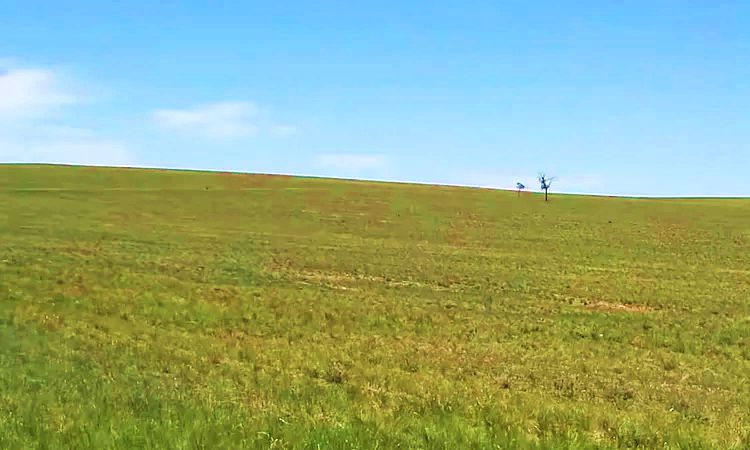 供济堂镇西部的高山草原
